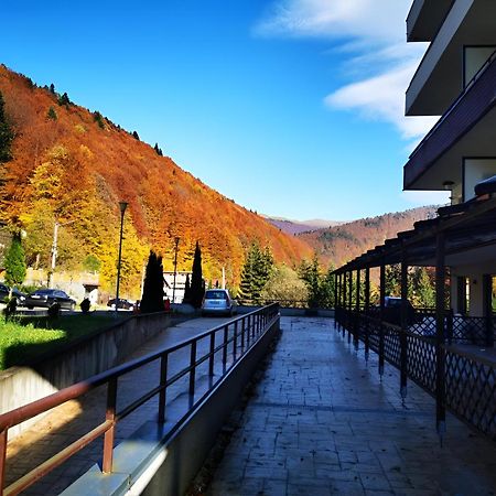 Serenity Suite Sinaia Esterno foto